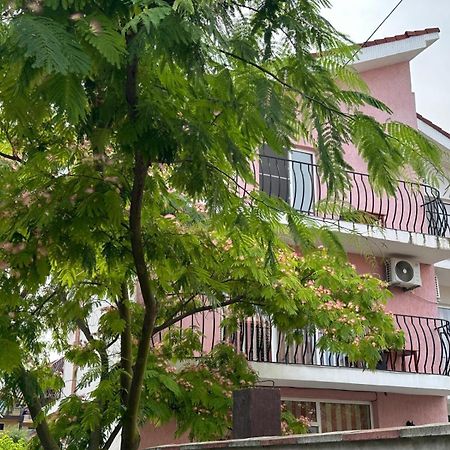 Vila Lucy Costinesti Hotel Exterior photo