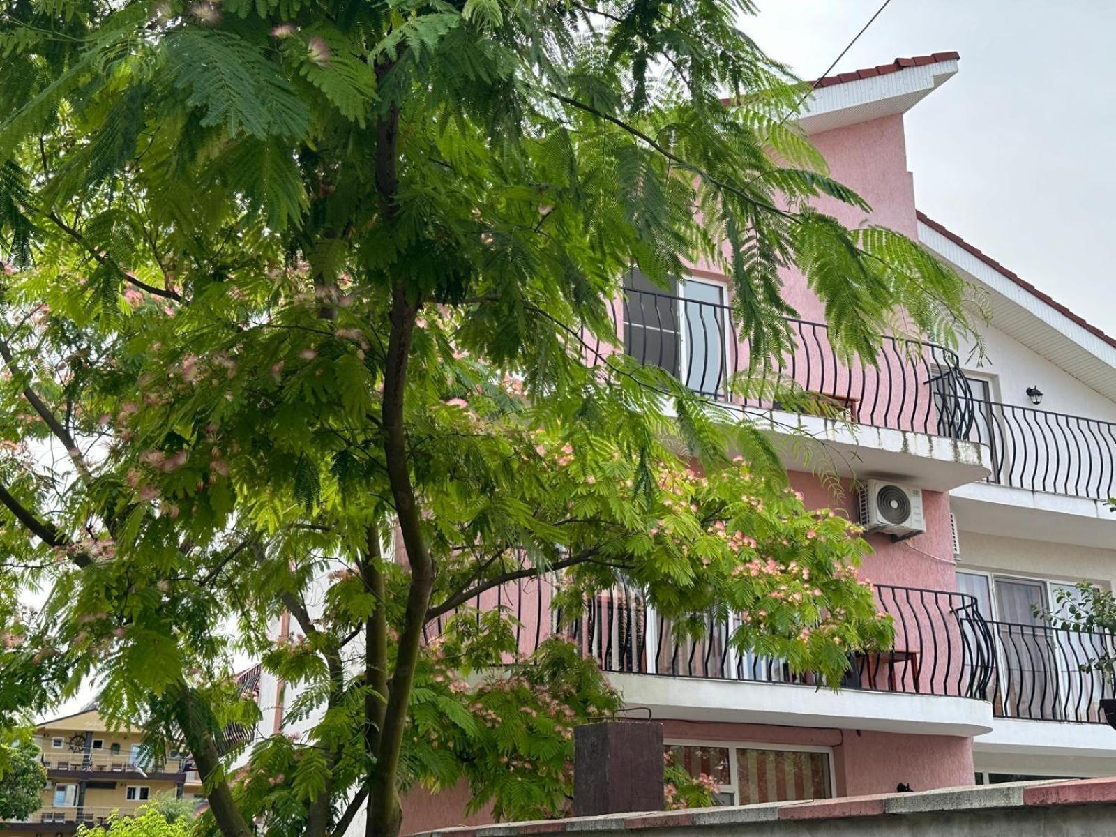 Vila Lucy Costinesti Hotel Exterior photo