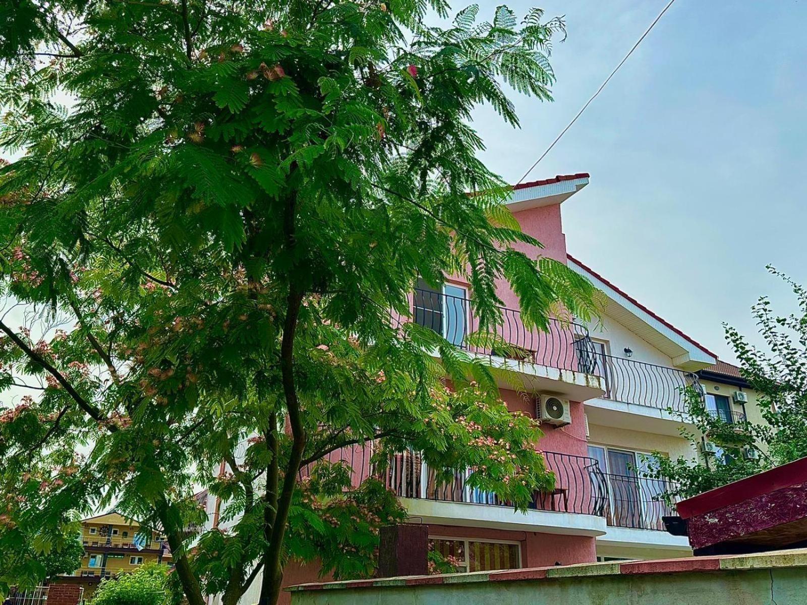 Vila Lucy Costinesti Hotel Exterior photo